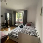 Cheerful 3 Bedroom City House